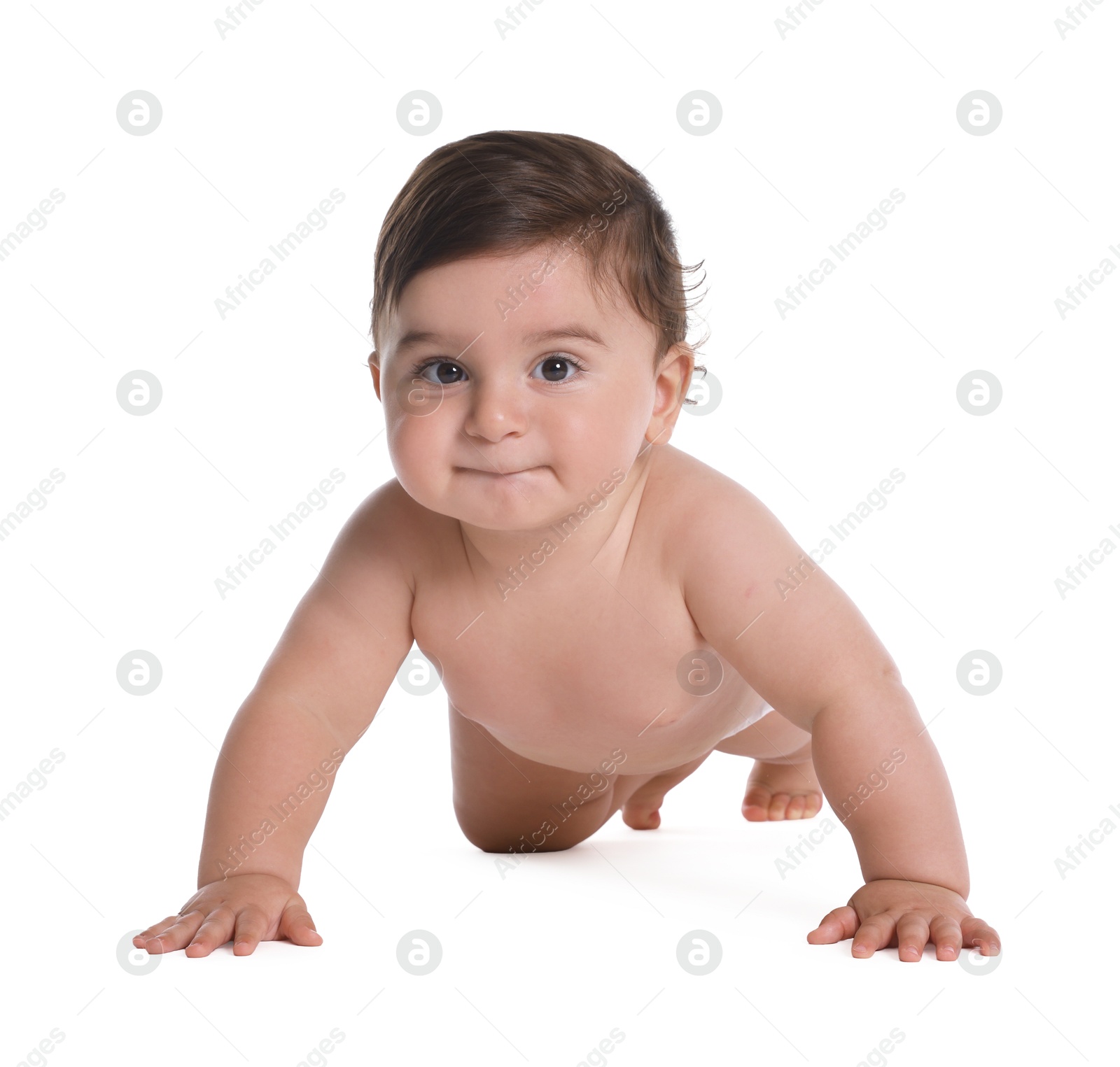 Photo of Cute little baby crawling on white background