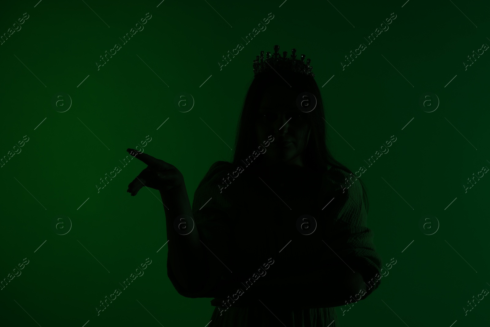 Photo of Silhouette of woman with crown on dark green background