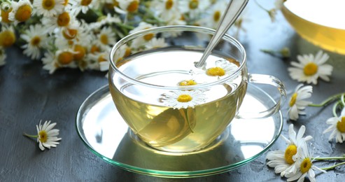 Photo of Tasty chamomile tea and flowers on grey table, closeup