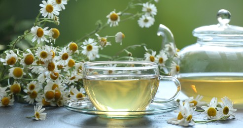 Photo of Tasty chamomile tea and flowers on grey table, closeup