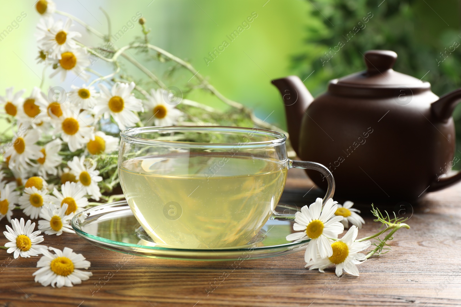 Tasty chamomile tea and flowers on wooden table, closeup Photo of Tasty chamomile tea and flowers on wooden table, closeup