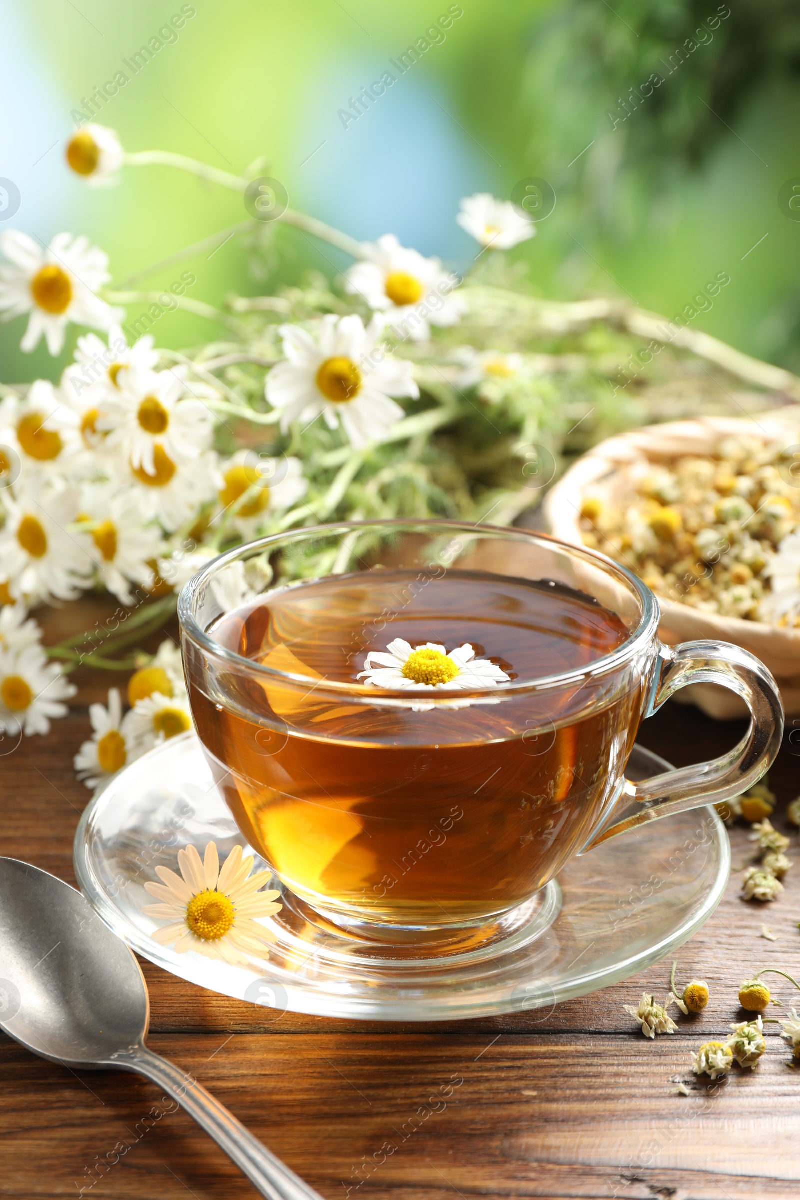 Tasty chamomile tea and flowers on wooden table, closeup Photo of Tasty chamomile tea and flowers on wooden table, closeup