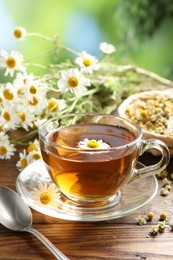 Photo of Tasty chamomile tea and flowers on wooden table, closeup