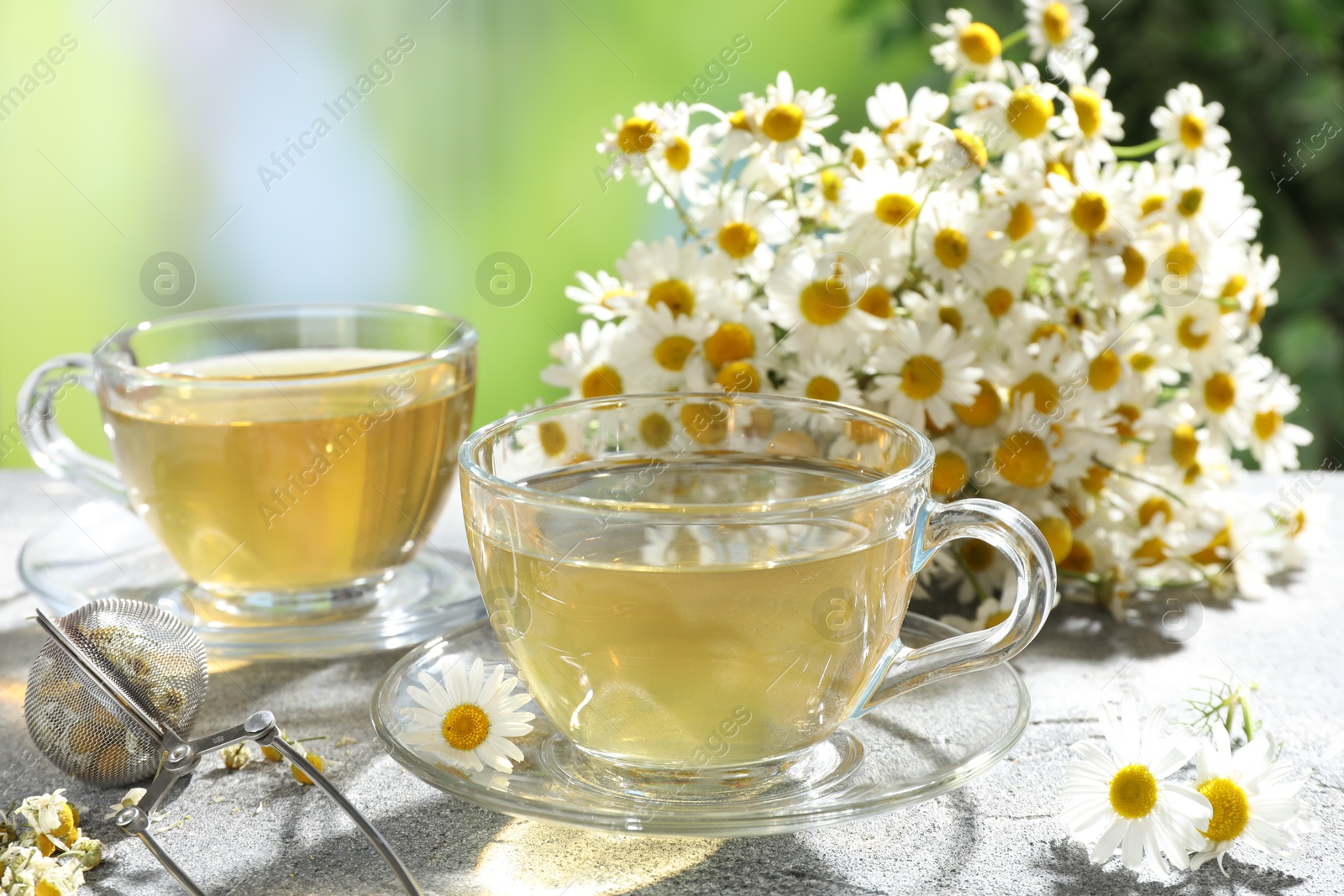 Photo of Tasty chamomile tea, infuser and flowers on light grey table, closeup
