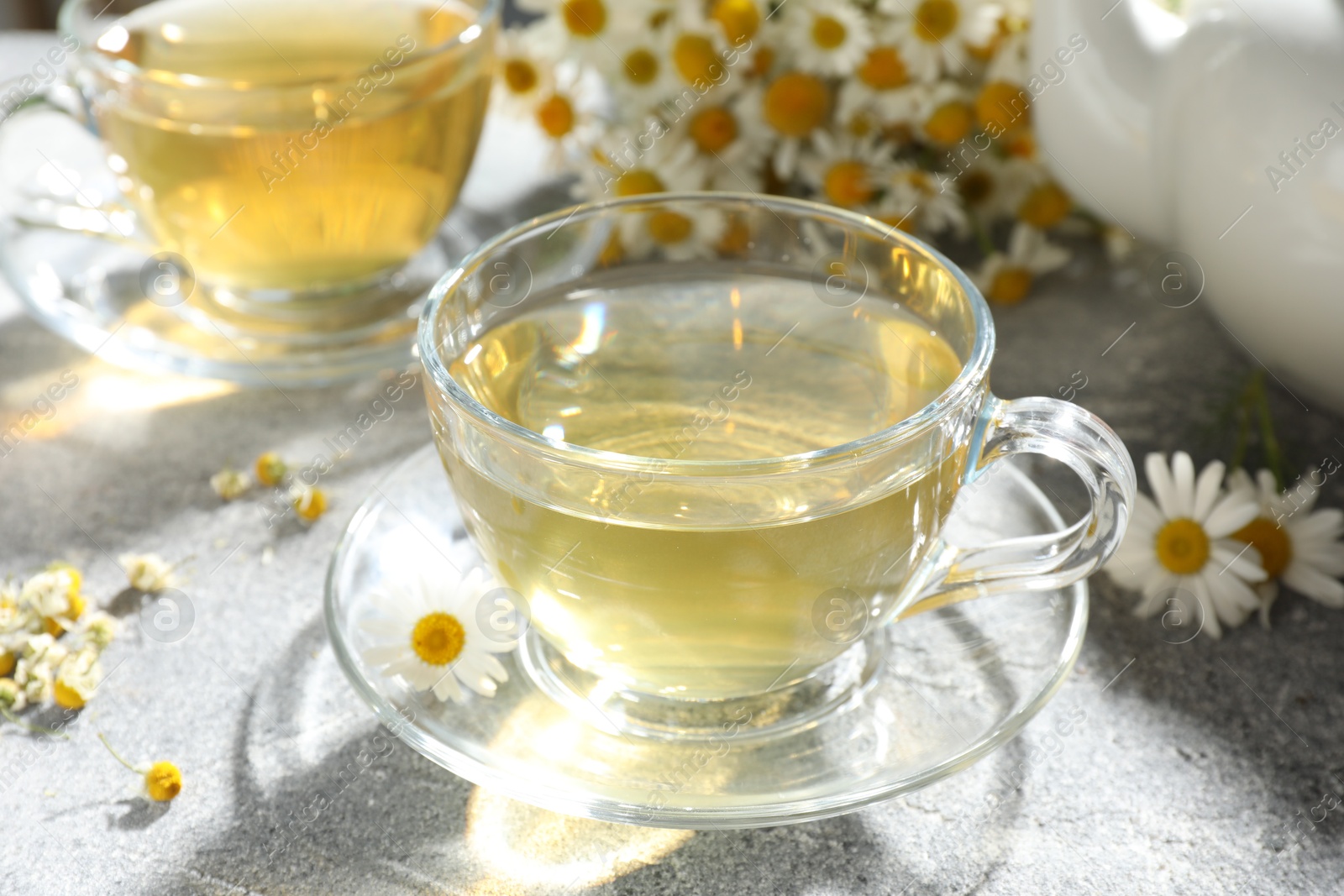 Tasty chamomile tea and flowers on light grey table, closeup Photo of Tasty chamomile tea and flowers on light grey table, closeup