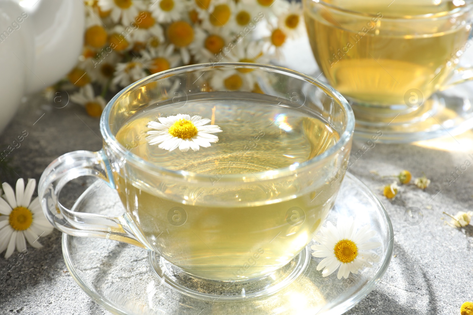 Photo of Tasty chamomile tea and flowers on light grey table, closeup