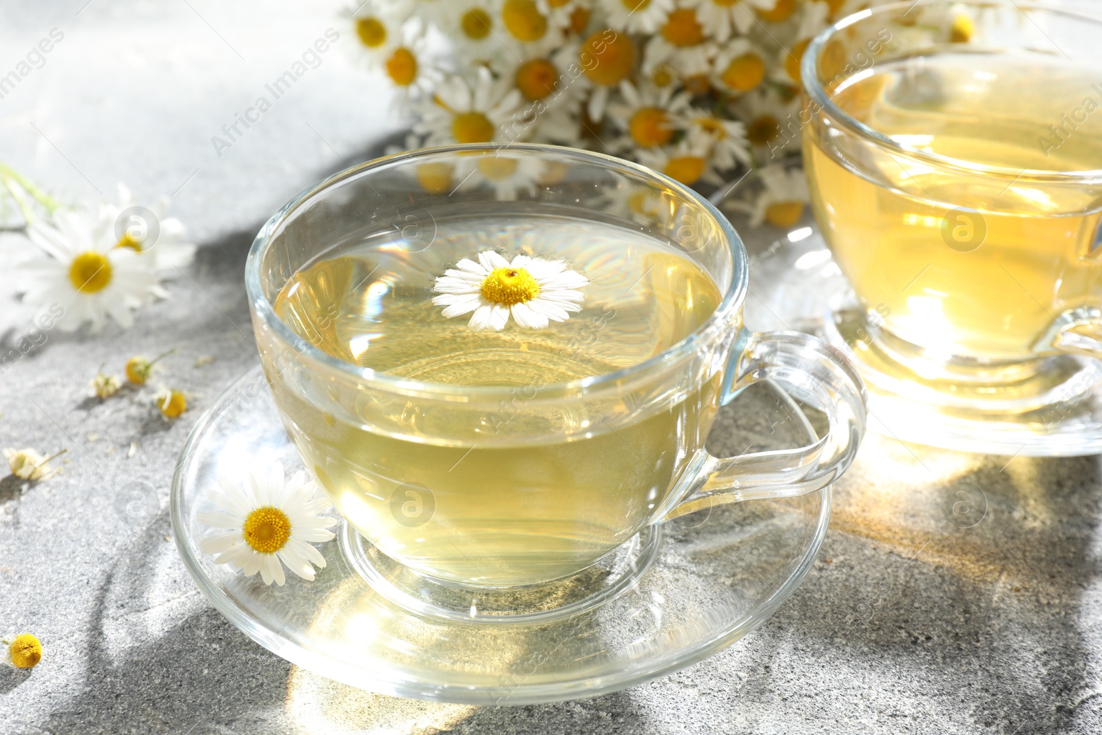 Photo of Tasty chamomile tea and flowers on light grey table, closeup