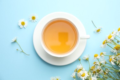Photo of Tasty chamomile tea and flowers on light blue background, flat lay
