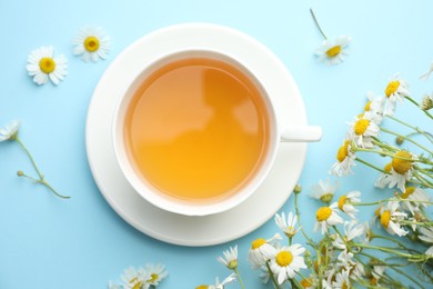 Photo of Tasty chamomile tea and flowers on light blue background, flat lay