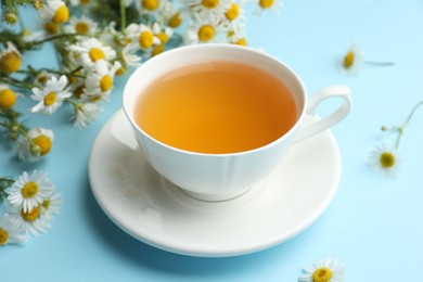 Photo of Tasty chamomile tea and flowers on light blue background, closeup