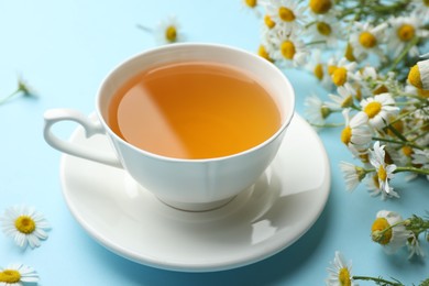 Photo of Tasty chamomile tea and flowers on light blue background, closeup