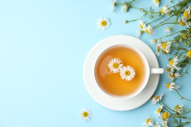 Photo of Tasty chamomile tea and flowers on light blue background, flat lay. Space for text
