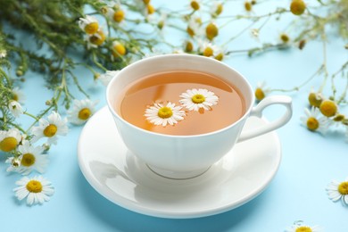 Photo of Tasty chamomile tea and flowers on light blue background, closeup