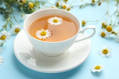 Photo of Tasty chamomile tea and flowers on light blue background, closeup