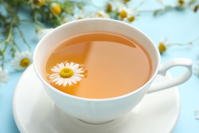Photo of Tasty chamomile tea and flowers on light blue background, closeup