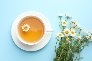 Photo of Tasty chamomile tea and flowers on light blue background, flat lay