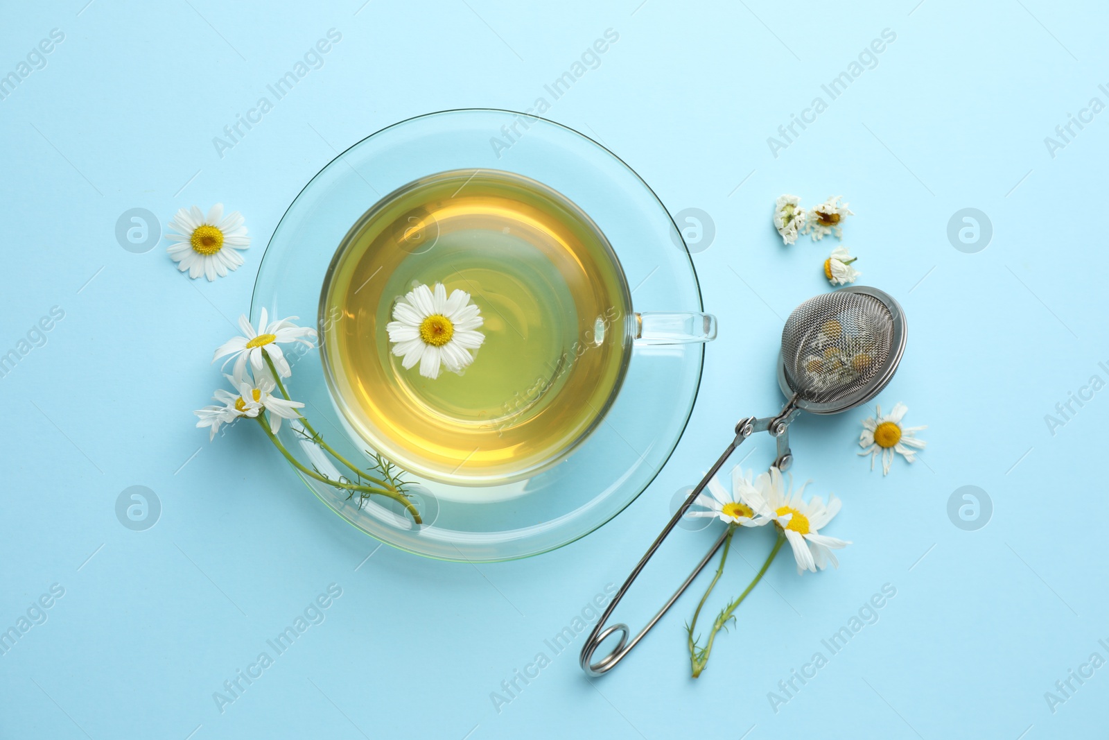 Tasty chamomile tea, infuser and flowers on light blue background, flat lay Photo of Tasty chamomile tea, infuser and flowers on light blue background, flat lay