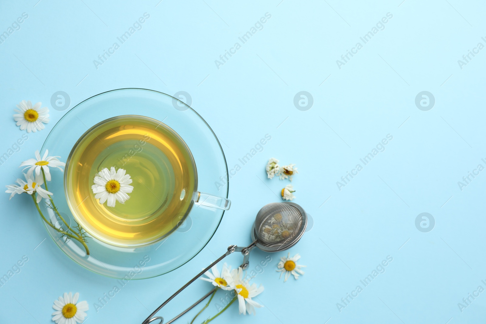 Tasty chamomile tea, infuser and flowers on light blue background, flat lay. Space for text Photo of Tasty chamomile tea, infuser and flowers on light blue background, flat lay. Space for text