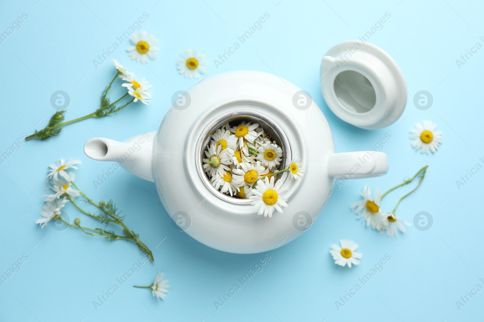 Teapot with chamomile flowers on light blue background, flat lay Photo of Teapot with chamomile flowers on light blue background, flat lay