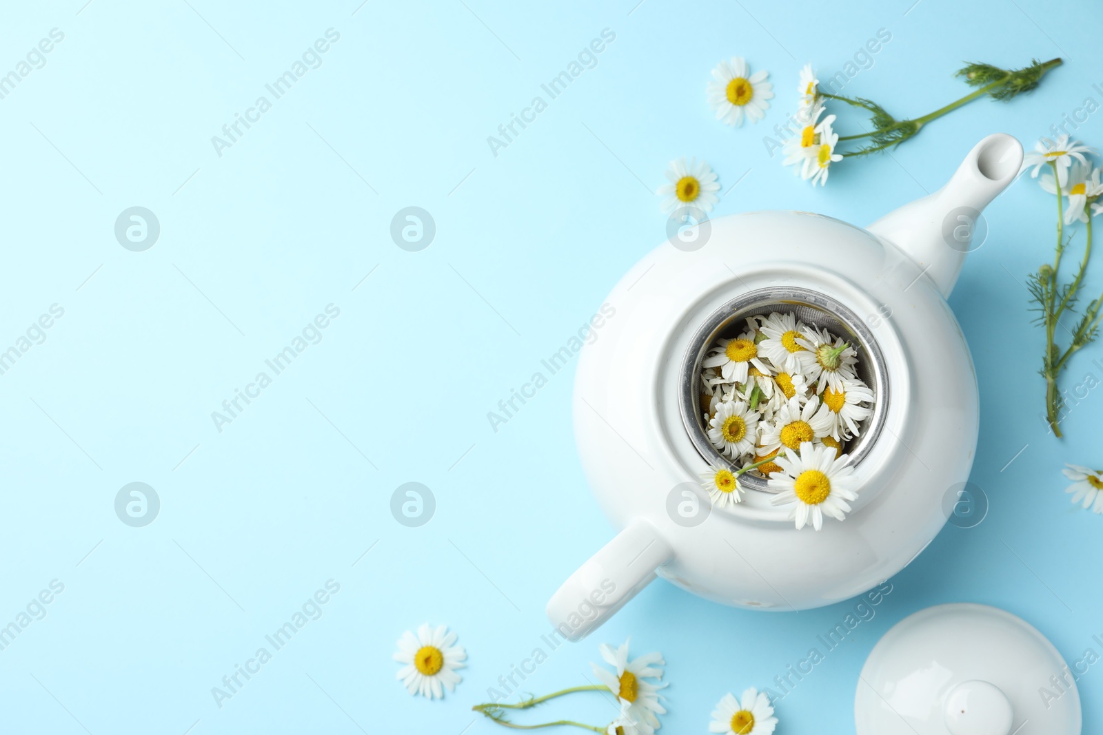 Teapot with chamomile flowers on light blue background, flat lay. Space for text Photo of Teapot with chamomile flowers on light blue background, flat lay. Space for text