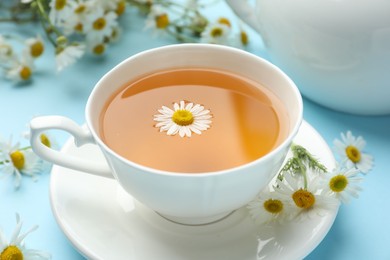 Photo of Tasty chamomile tea and flowers on light blue background, closeup