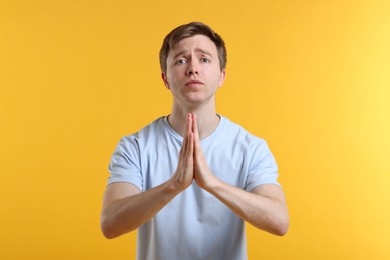 Photo of Portrait of man with clasped hands apologizing on yellow background