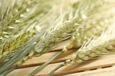 Photo of Green wheat spikes on wooden crate, macro view