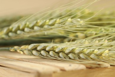 Photo of Green wheat spikes on wooden crate against beige background, macro view