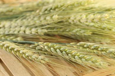 Photo of Green wheat spikes on wooden crate, macro view