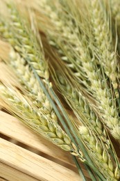 Photo of Green wheat spikes on wooden crate, above view