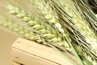 Photo of Green wheat spikes on wooden crate against beige background, macro view
