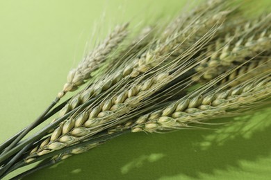 Photo of Beautiful wheat spikes on green background, closeup