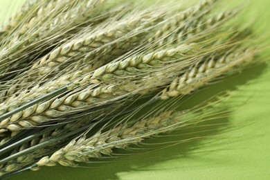 Photo of Beautiful wheat spikes on green background, closeup