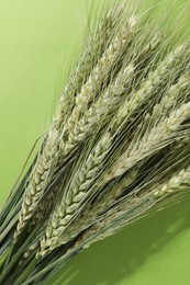 Photo of Beautiful wheat spikes on green background, top view