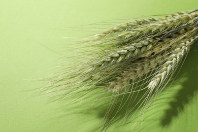 Photo of Beautiful wheat spikes on green background, closeup