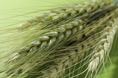 Photo of Beautiful wheat spikes on green background, closeup