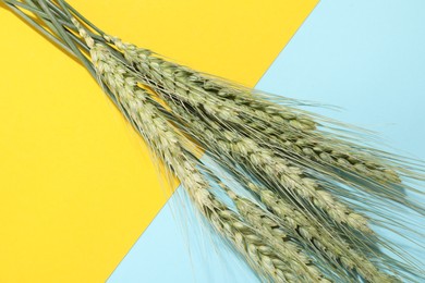 Photo of Green wheat spikes on color background, closeup