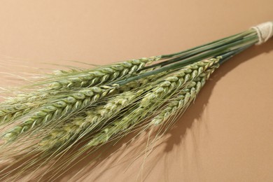 Photo of Green wheat spikes on beige background, closeup