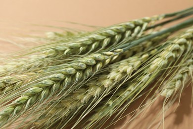 Photo of Green wheat spikes on beige background, closeup