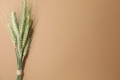 Photo of Bunch of green wheat spikes on beige background, top view. Space for text