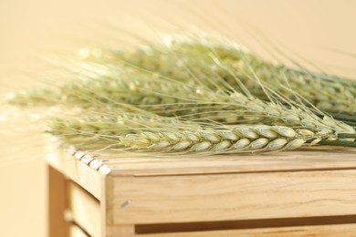 Photo of Green wheat spikes on wooden crate against beige background, closeup