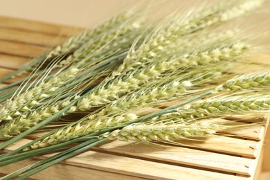 Photo of Green wheat spikes on wooden crate against beige background, closeup