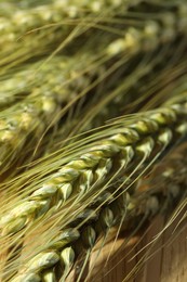 Photo of Green wheat spikes on wooden crate, macro view