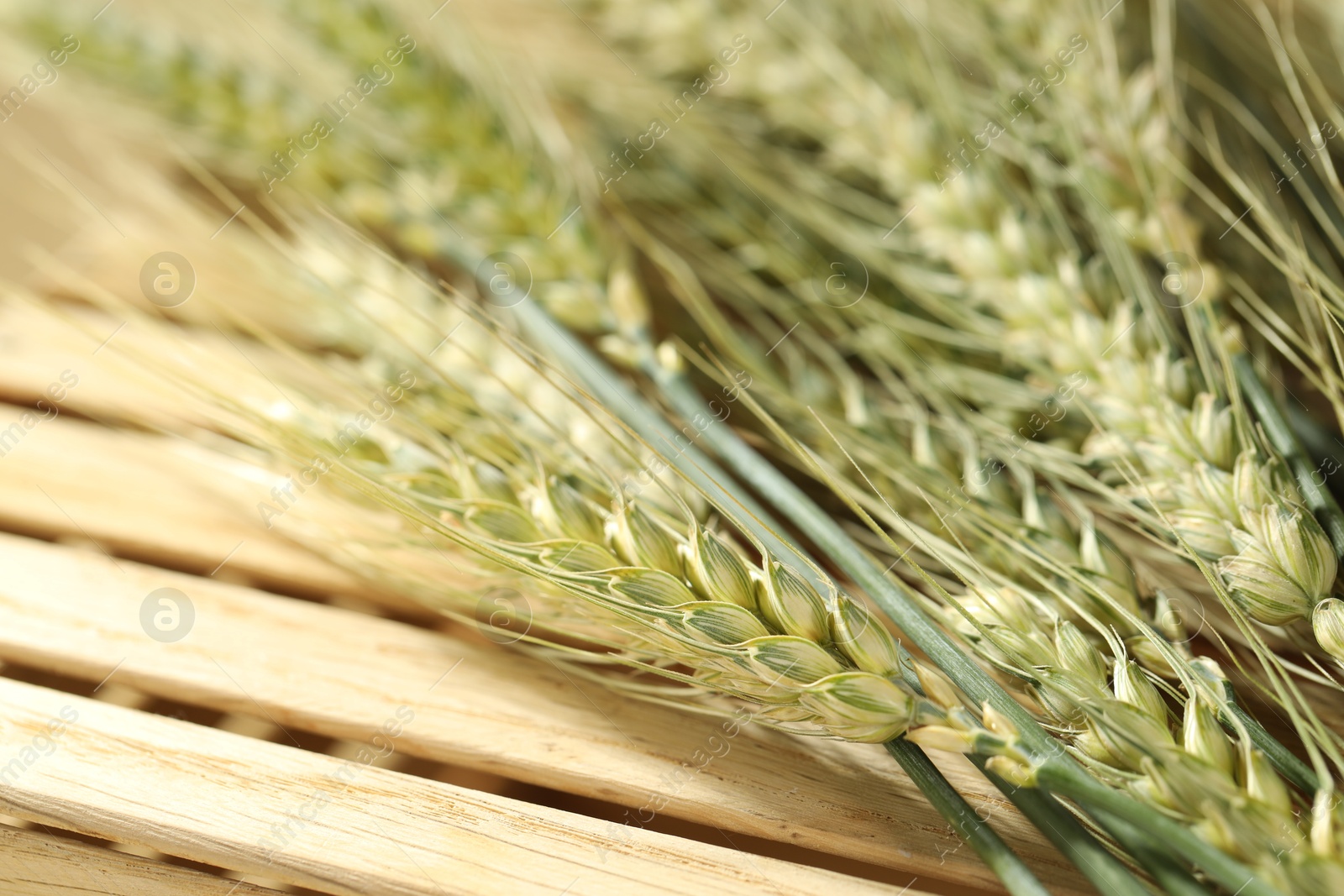 Green wheat spikes on wooden crate, macro view Photo of Green wheat spikes on wooden crate, macro view