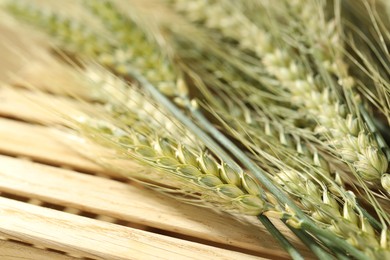 Photo of Green wheat spikes on wooden crate, macro view