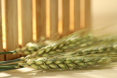 Photo of Green wheat spikes on beige background, macro view