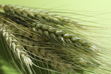Photo of Beautiful wheat spikes on green background, closeup