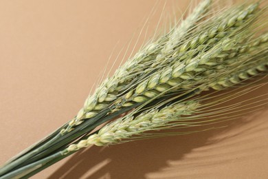 Photo of Green wheat spikes on beige background, closeup