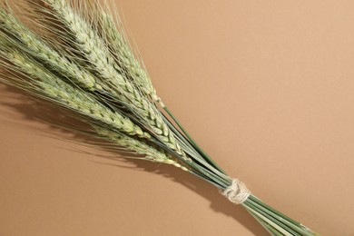 Photo of Bunch of green wheat spikes on beige background, top view