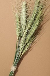 Photo of Bunch of green wheat spikes on beige background, top view